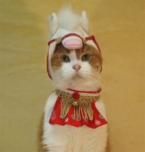 キャットプリン（W-021）